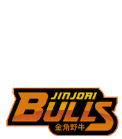 Bulls Sticker by Canoe Polo