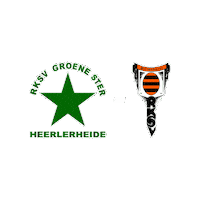 Sport Heerlen Sticker by Groene ster