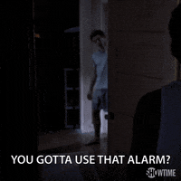 episode 1 showtime GIF by Shameless