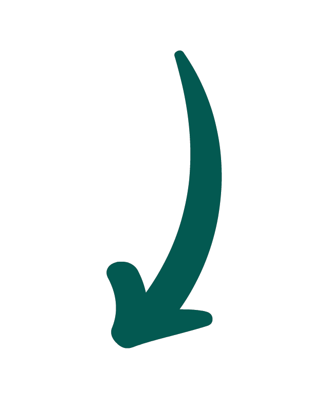 Arrow Sticker by All Nutrition