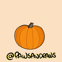 Dog Halloween GIF