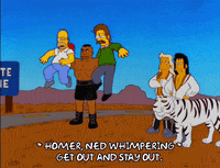 homer simpson episode 10 GIF