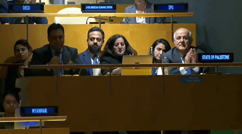 United Nations Palestine GIF by GIPHY News