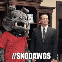 gardnerwebb happy dog smile yes GIF