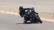Brand Adventure GIF by Harley-Davidson