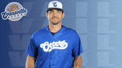 Happy Baseball GIF by Evansville Otters