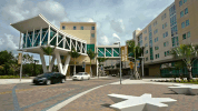 fiupanthers fiucampus GIF by FIU