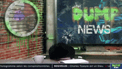 ladump omg scream ahh muppet GIF