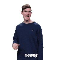 Happy The Best Sticker by SWR3