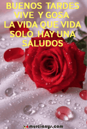 La Vida Flores GIF by Murcianys LLC