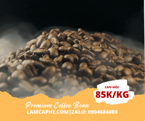 lmcph giphyupload caphephamay capherangmoc caphemoc GIF