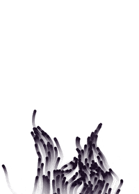 processing noise GIF by Adam Ferriss