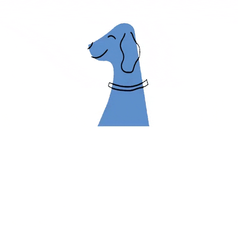 Cat Dog GIF by Pet Toalhas