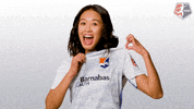nwsl soccer nwsl new jersey crest GIF