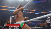 wwe sports wwe wrestling 2015 GIF