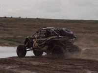 energylandia fun team cars speed GIF