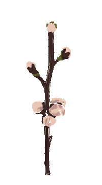 Wildflower Slowliving Sticker by MadgenFou