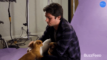 Dogs Puppies GIF by BuzzFeed