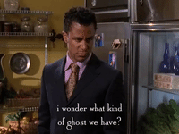 season 5 netflix GIF by Gilmore Girls 