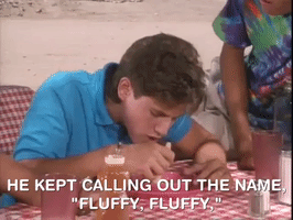 hey dude nicksplat GIF