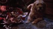 christmas movies gremlins GIF
