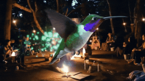 temploautoconhecimento giphygifmaker medicina blumenau templo GIF