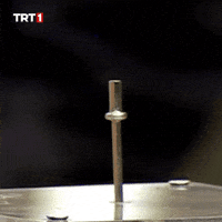 Electric Shock Love GIF by TRT