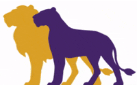 unagradonline online lions graduate una GIF