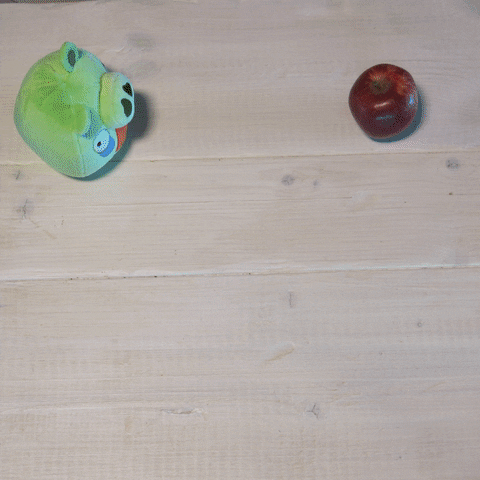 snake pig GIF by Angry Birds