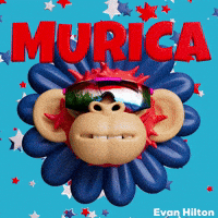 Independence Day Usa GIF by Evan Hilton