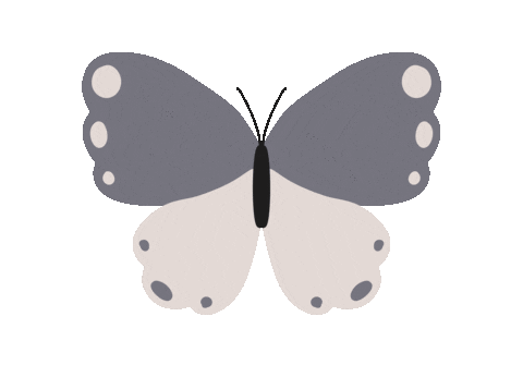 thelettersmdn giphyupload butterfly thelettersmdn Sticker