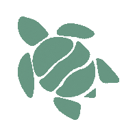 Beach Ocean Sticker by SienteMX