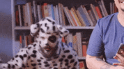 Diogo Defante Ameaca GIF by Porta Dos Fundos