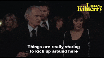Happy Fun GIF by Love in Kilnerry