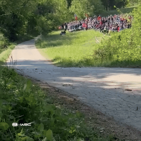 Friday Driving GIF by FIA World Rally Championship