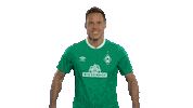 Niklas Moisander Yes Sticker by SV Werder Bremen