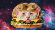 Cat Weed GIF by Anne Horel
