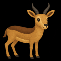 Unity Dubai GIF by Year Of Sustainability