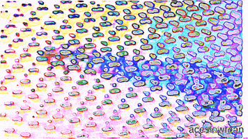 Texture Amoeba GIF by aceslowman