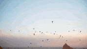 hazel english GIF by Polyvinyl Records