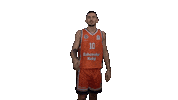 Gameday Reddragons Sticker by bkbasketbol