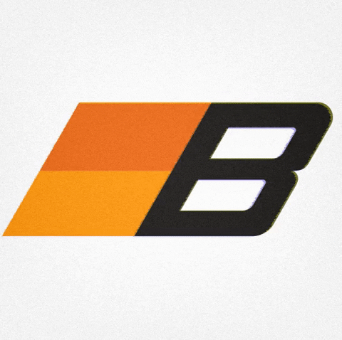 BluBlocker giphygifmaker blublocker sunglasses blublocker logo GIF