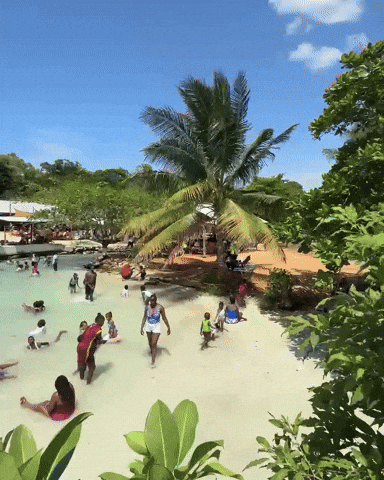 Beach Day Summer GIF
