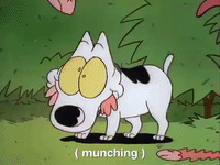 rockos modern life nicksplat GIF