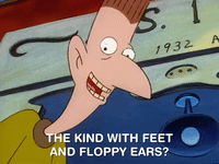 hey arnold nicksplat GIF