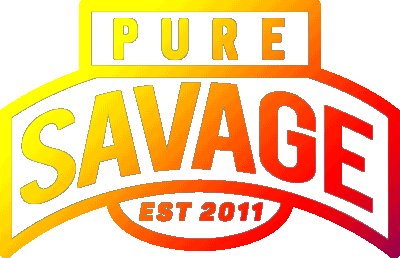 Logo Rainbow Sticker by Pure Savage