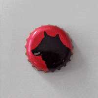 Beer Cerveza GIF