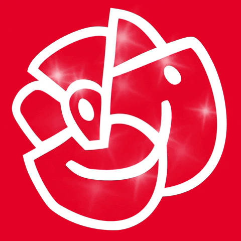 Glitter Ros GIF by Socialdemokraterna