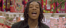 fr fr GIF by Wiz Khalifa