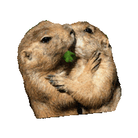 Pride Love Sticker by imoji